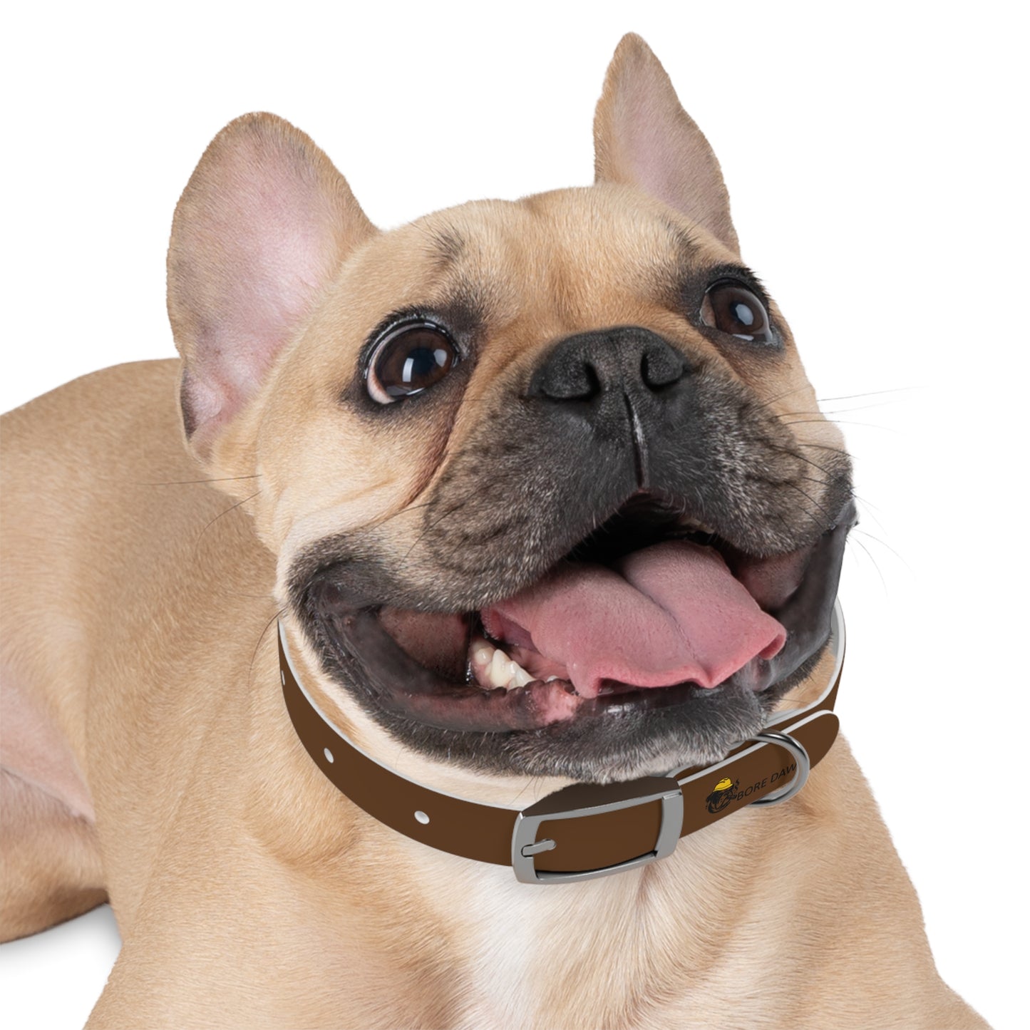 Bore Dawg Collar