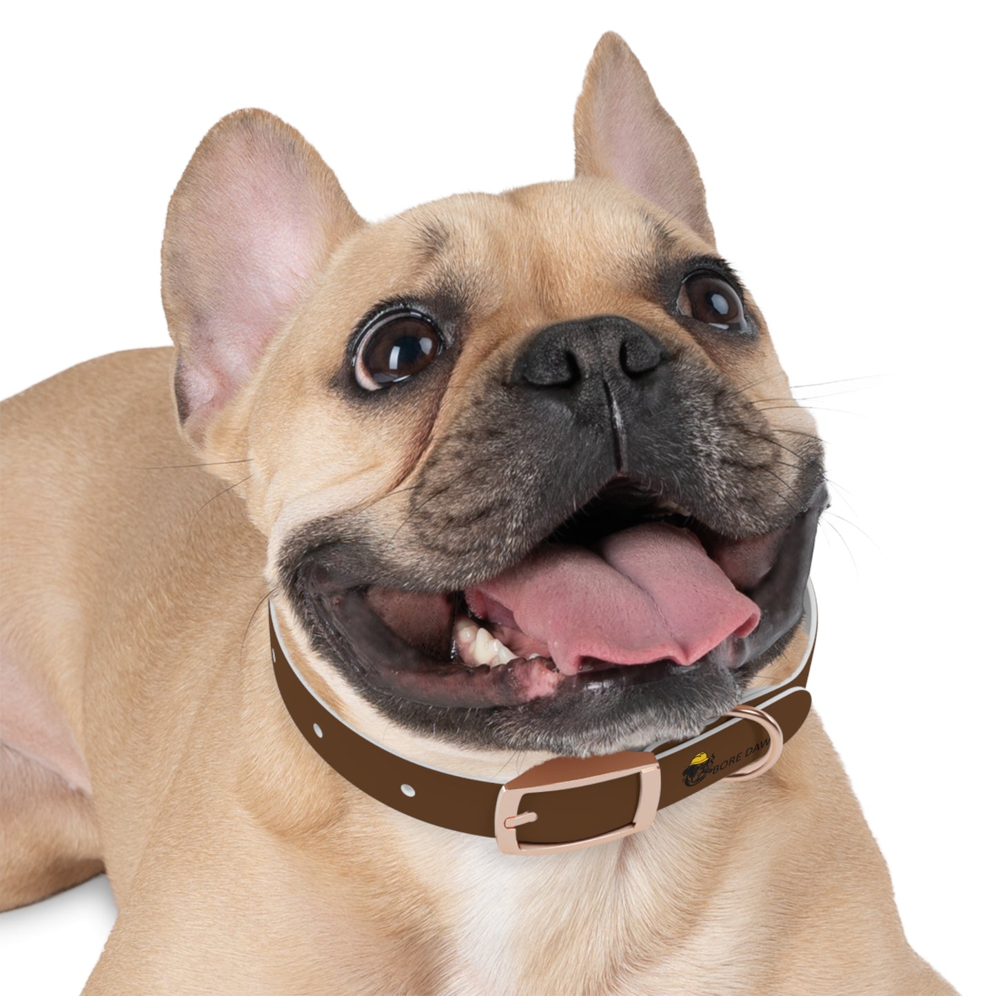 Bore Dawg Collar