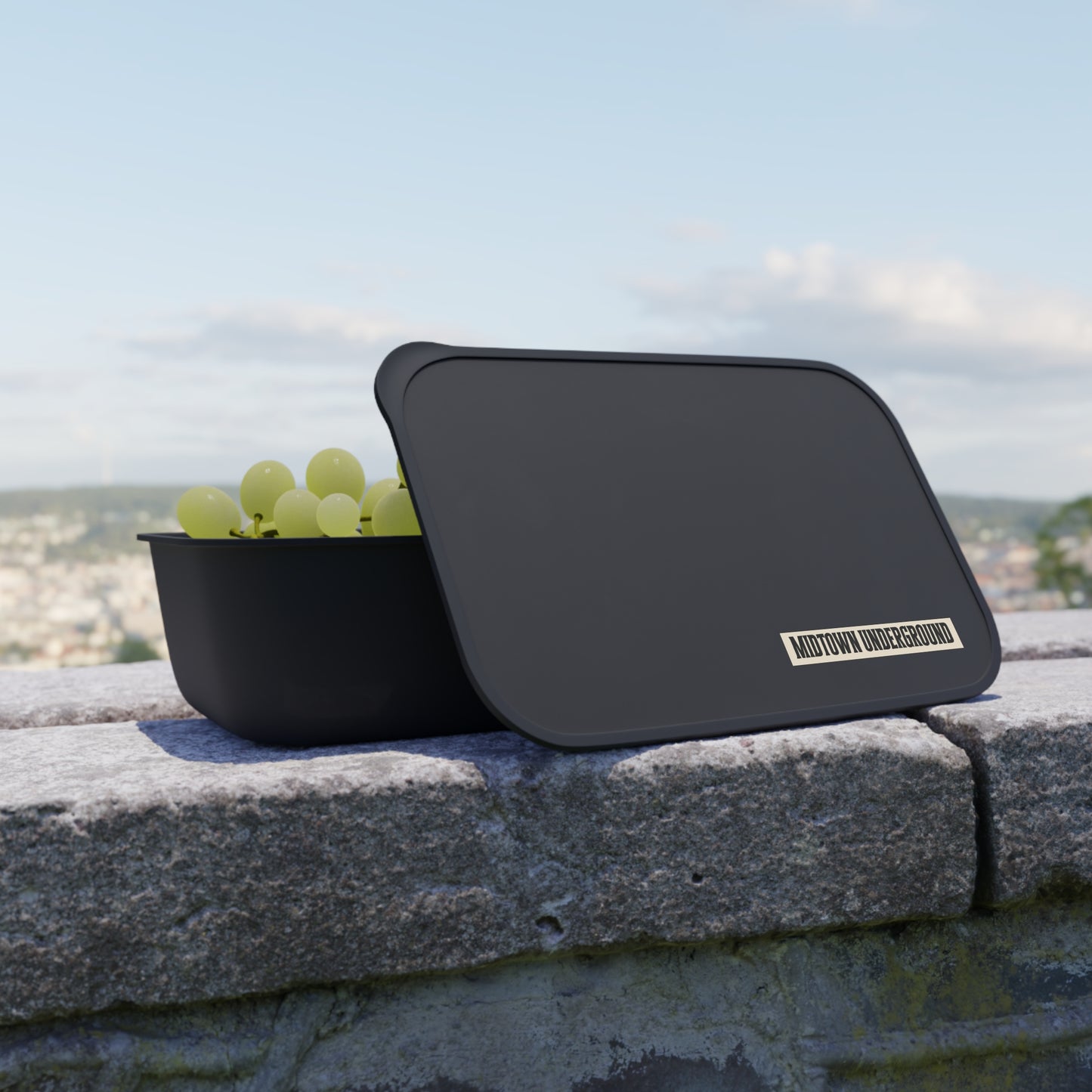 Black Bento Box