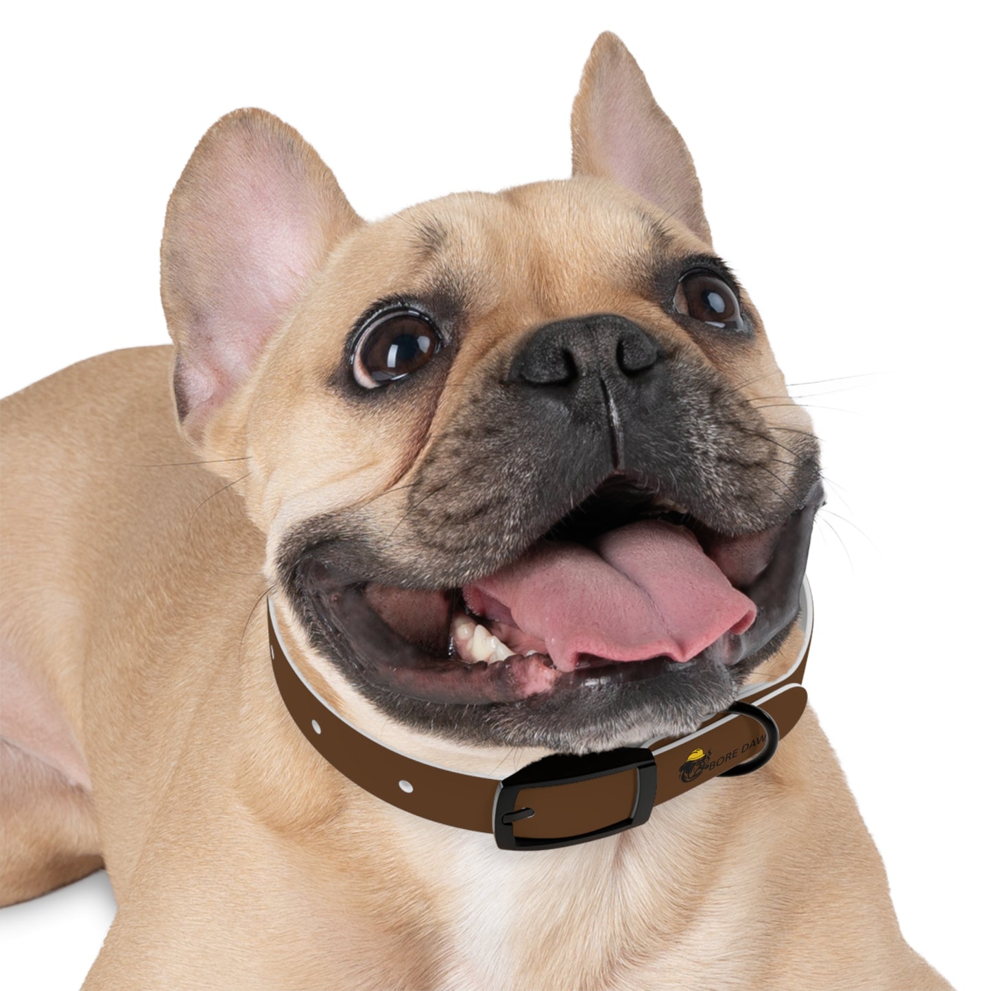Bore Dawg Collar