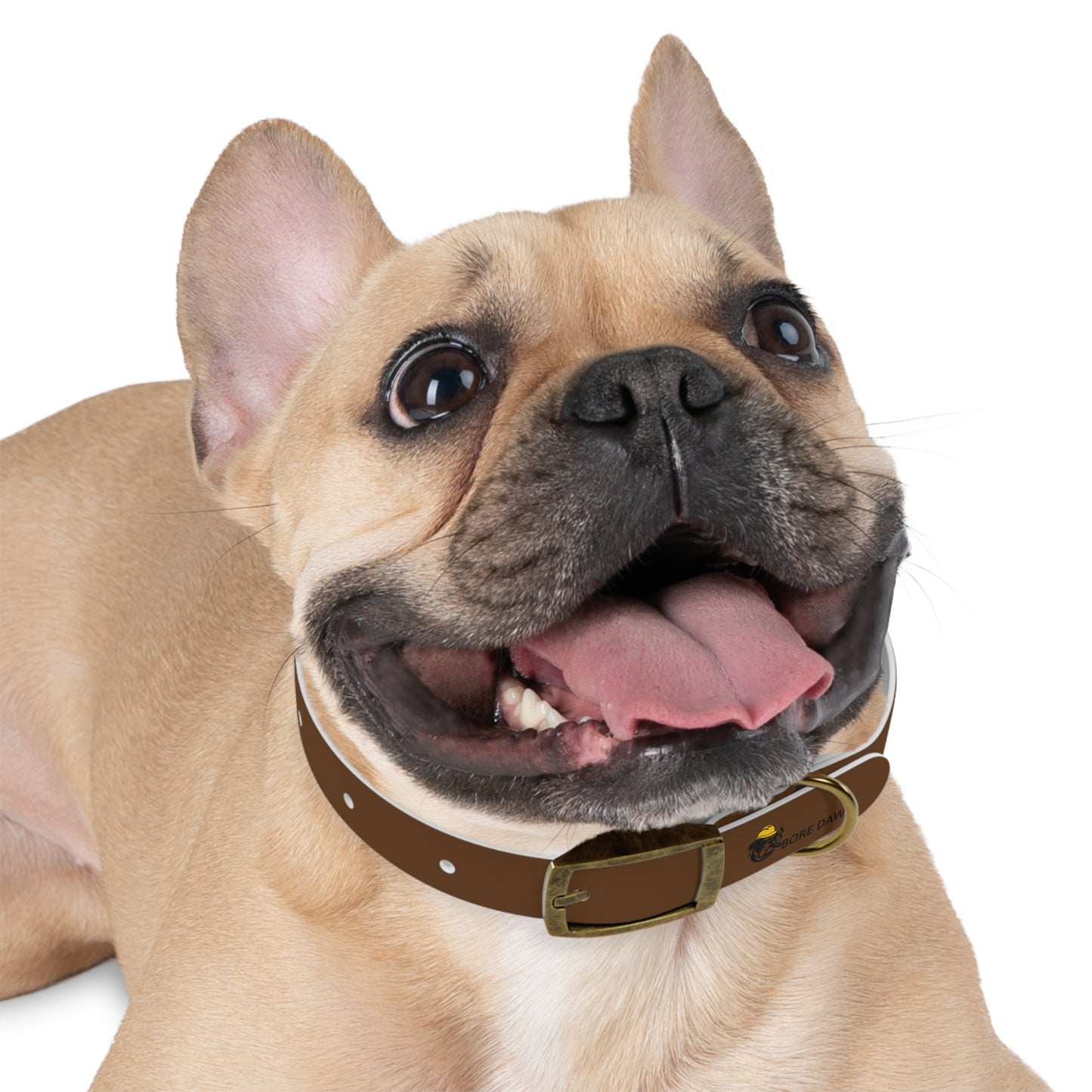 Bore Dawg Collar