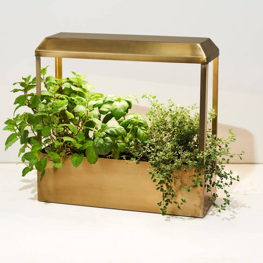 Wholesale Smart Growhouse - Brass